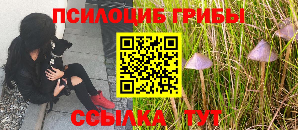 Отрадный  Псилоцибиновые грибы мухоморы  Вход с VPN 